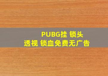 PUBG挂 锁头 透视 锁血免费无广告